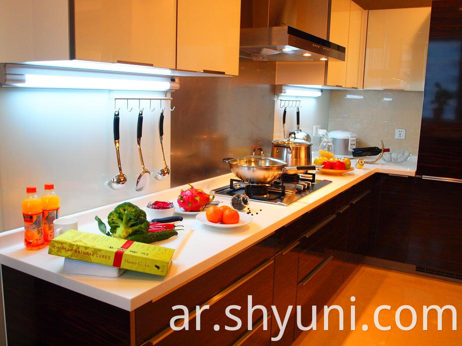 Renovated modern kitchen